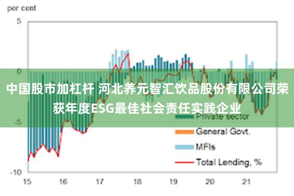 中国股市加杠杆 河北养元智汇饮品股份有限公司荣获年度ESG最佳社会责任实践企业