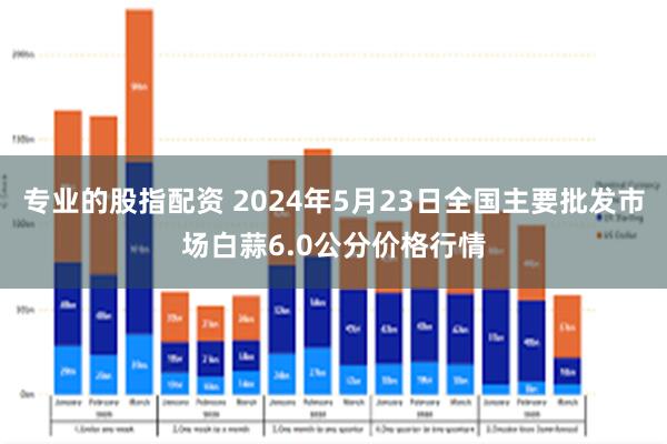 专业的股指配资 2024年5月23日全国主要批发市场白蒜6.0公分价格行情