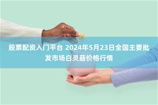 股票配资入门平台 2024年5月23日全国主要批发市场白灵菇价格行情