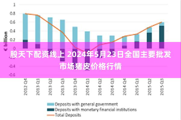 股天下配资线上 2024年5月23日全国主要批发市场猪皮价格行情