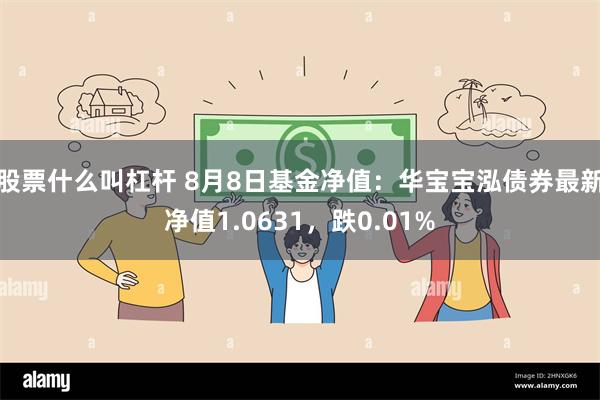 股票什么叫杠杆 8月8日基金净值：华宝宝泓债券最新净值1.0631，跌0.01%