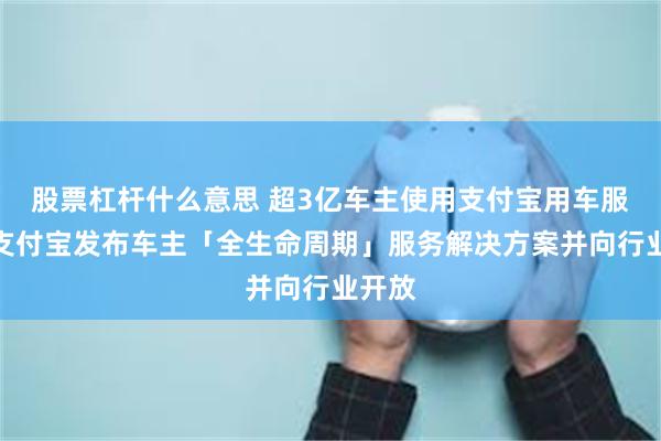 股票杠杆什么意思 超3亿车主使用支付宝用车服务，支付宝发布车主「全生命周期」服务解决方案并向行业开放