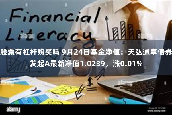 股票有杠杆购买吗 9月24日基金净值：天弘通享债券发起A最新净值1.0239，涨0.01%