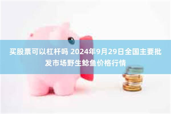 买股票可以杠杆吗 2024年9月29日全国主要批发市场野生鲶鱼价格行情