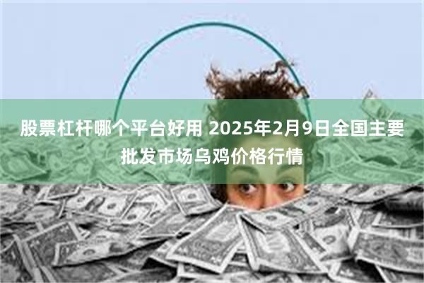 股票杠杆哪个平台好用 2025年2月9日全国主要批发市场乌鸡价格行情